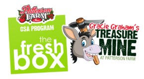 Branding & Logo Development Patterson farm fresh box and treasure box logo